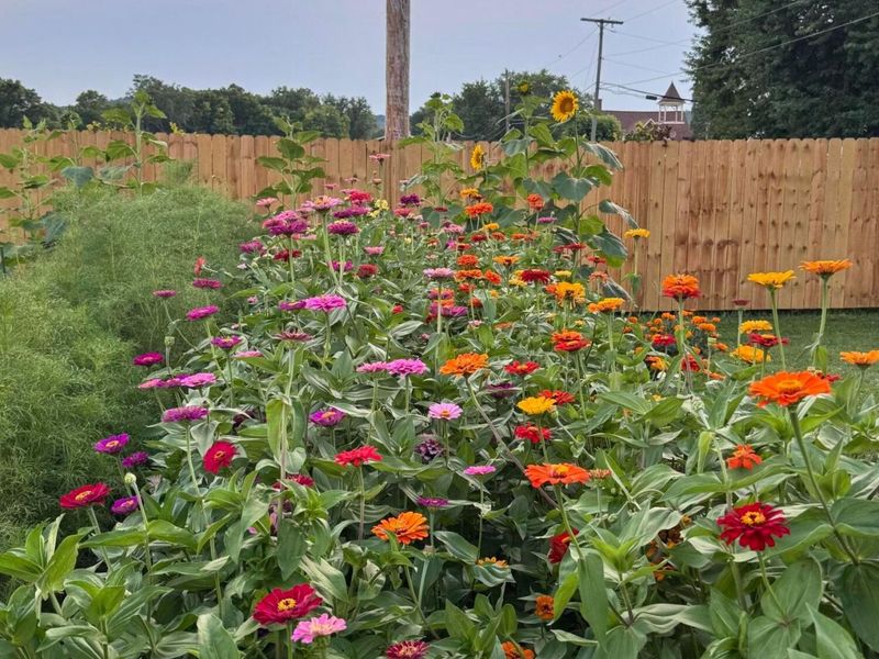 11524 US Highway 50, Chillicothe, OH 45601 Photo 6