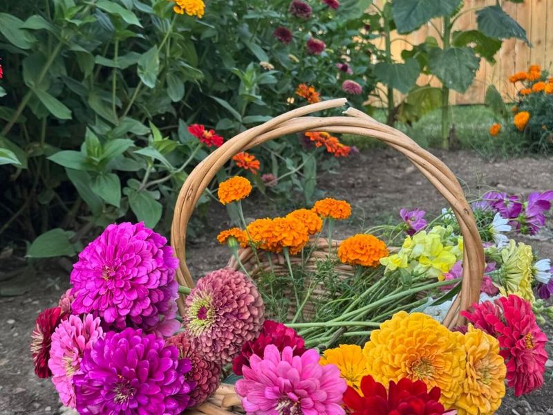 11524 US Highway 50, Chillicothe, OH 45601 Photo 7