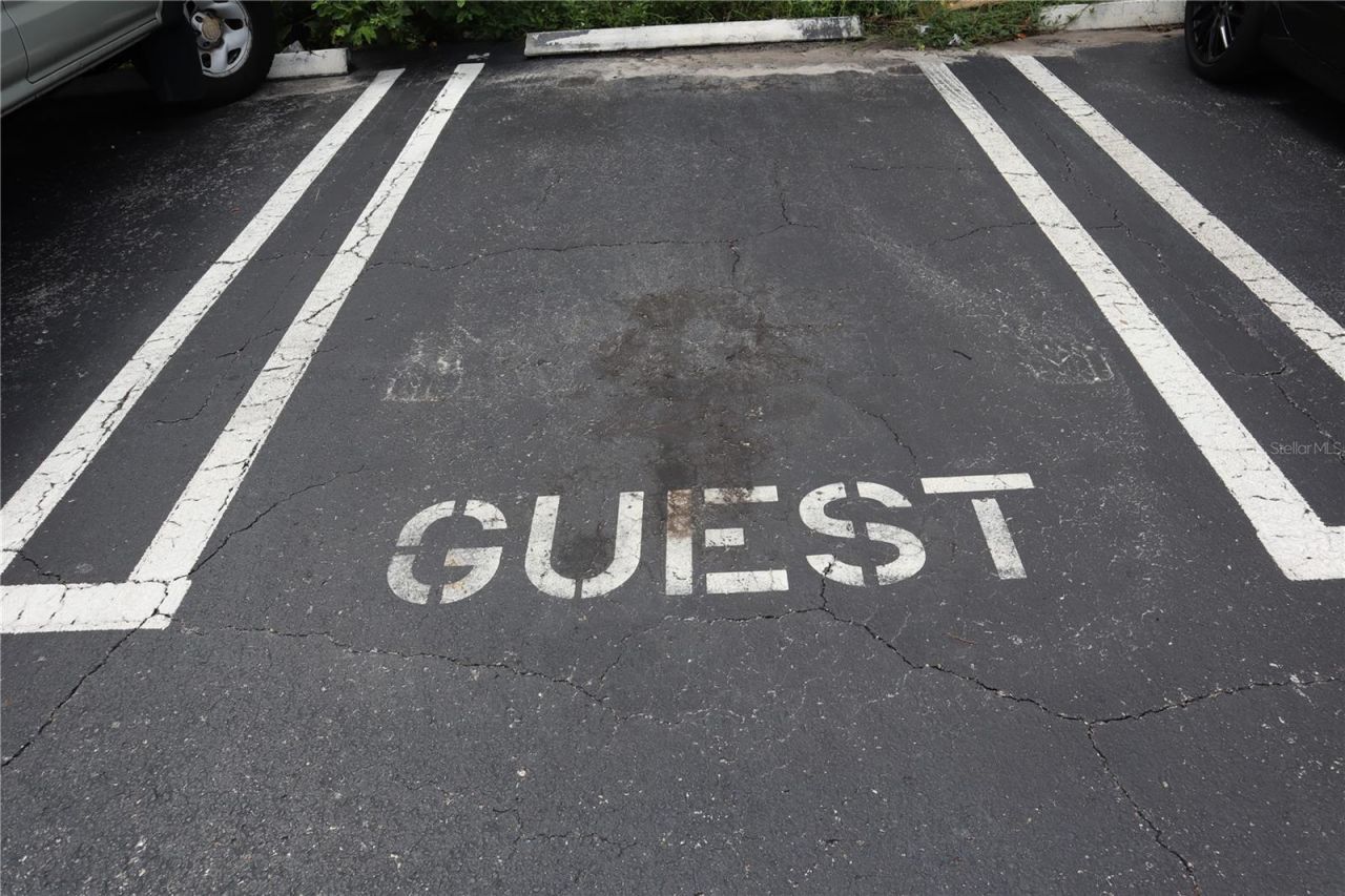 350 79th Avenue N, Unit 236, Saint Petersburg, FL 33702 Photo