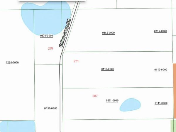 0000 Unassigned Location RE, Crescent City, FL 32112