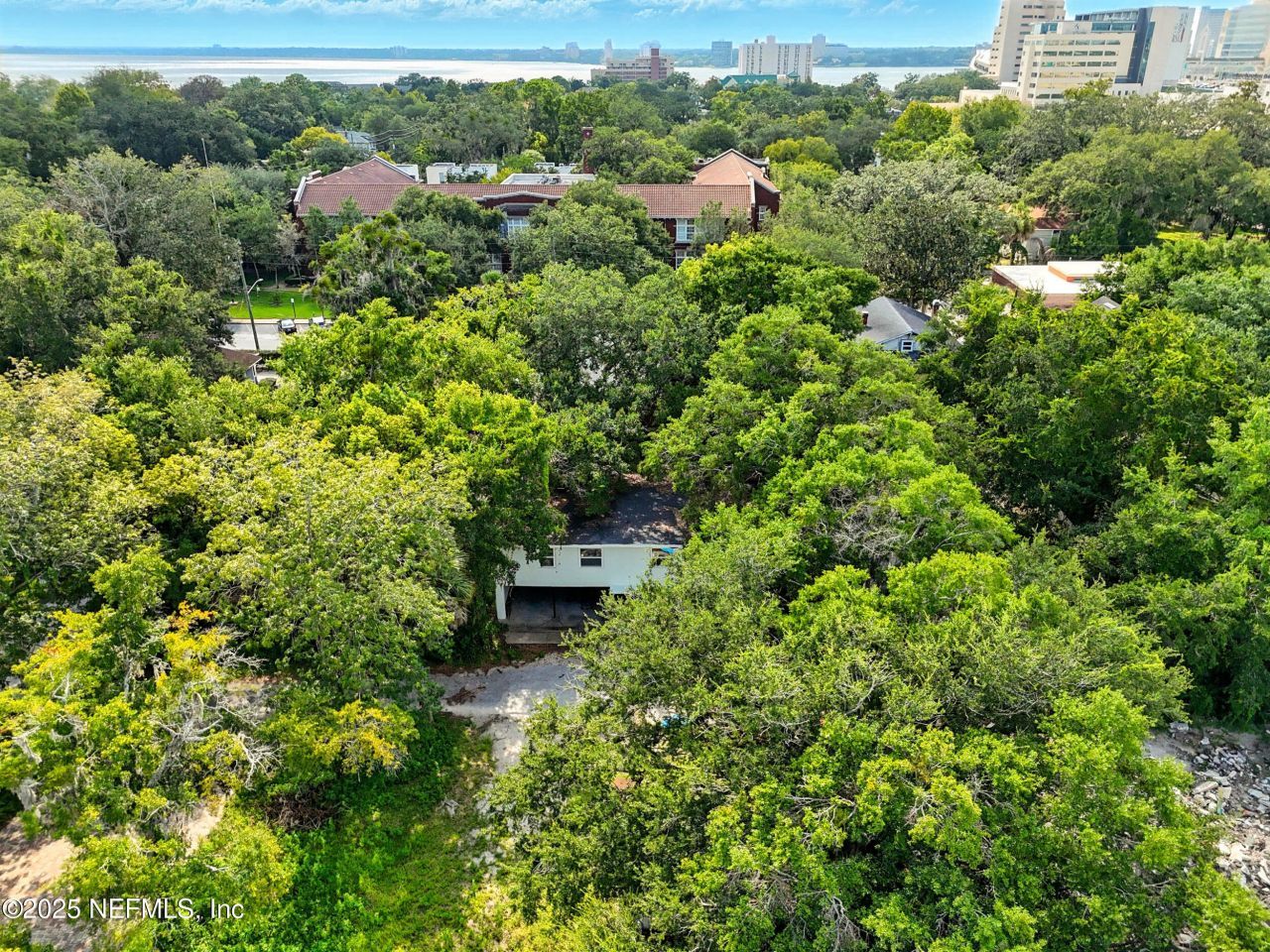 1445 Flagler Avenue, Jacksonville, FL 32207 Photo
