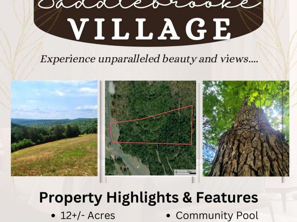 408 Sunset Drive , Saddlebrooke, MO 65630