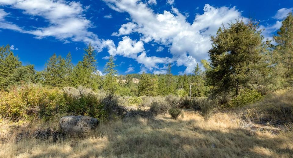 35-acres Amapola Ct, Pollock Pines, CA 95726 Photo