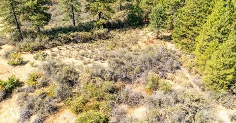 35-acres Amapola Ct, Pollock Pines, CA 95726 Photo