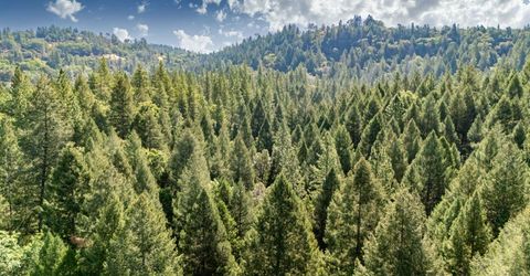 35-acres Amapola Ct, Pollock Pines, CA 95726 Photo