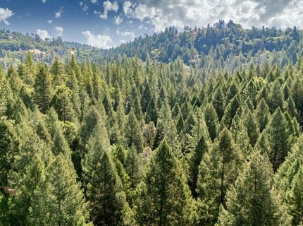 35-acres Amapola Ct, Pollock Pines, CA 95726 Photo