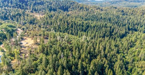 35-acres Amapola Ct, Pollock Pines, CA 95726 Photo