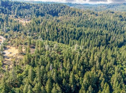 35-acres Amapola Ct, Pollock Pines, CA 95726 Photo