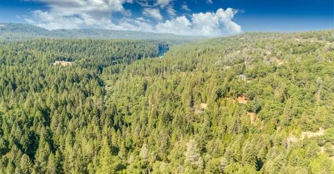 35-acres Amapola Ct, Pollock Pines, CA 95726 Photo