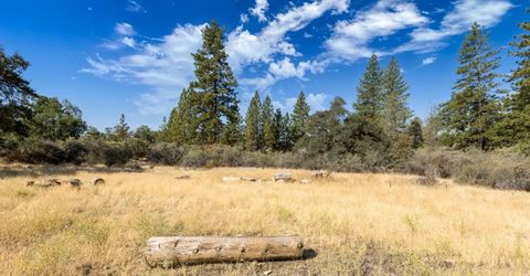 35-acres Amapola Ct, Pollock Pines, CA 95726 Photo