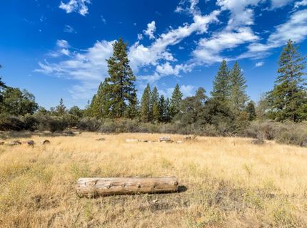 35-acres Amapola Ct, Pollock Pines, CA 95726 Photo