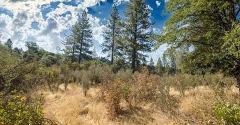 35-acres Amapola Ct, Pollock Pines, CA 95726 Photo