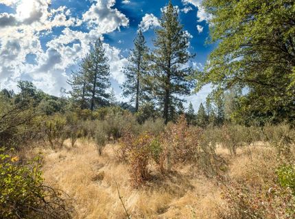 35-acres Amapola Ct, Pollock Pines, CA 95726 Photo