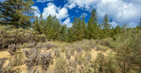 35-acres Amapola Ct, Pollock Pines, CA 95726 Photo