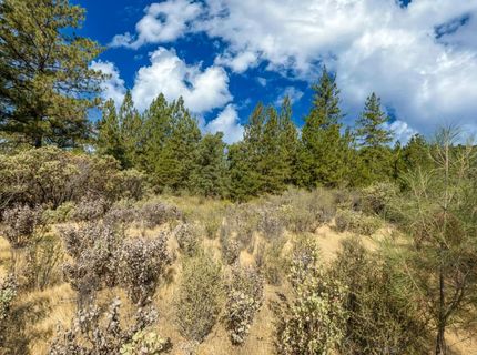 35-acres Amapola Ct, Pollock Pines, CA 95726 Photo