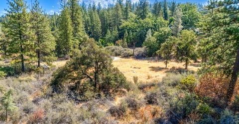 35-acres Amapola Ct, Pollock Pines, CA 95726 Photo