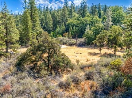 35-acres Amapola Ct, Pollock Pines, CA 95726 Photo
