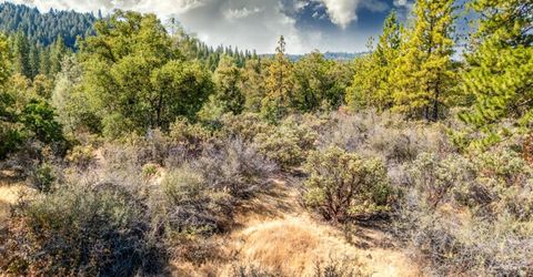 35-acres Amapola Ct, Pollock Pines, CA 95726 Photo