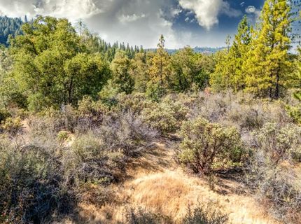 35-acres Amapola Ct, Pollock Pines, CA 95726 Photo