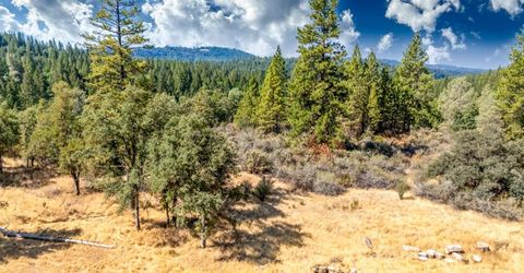 35-acres Amapola Ct, Pollock Pines, CA 95726 Photo