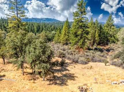35-acres Amapola Ct, Pollock Pines, CA 95726 Photo