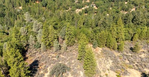 35-acres Amapola Ct, Pollock Pines, CA 95726 Photo