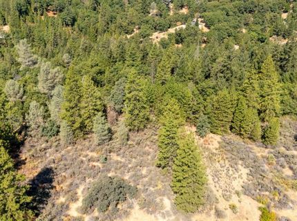 35-acres Amapola Ct, Pollock Pines, CA 95726 Photo