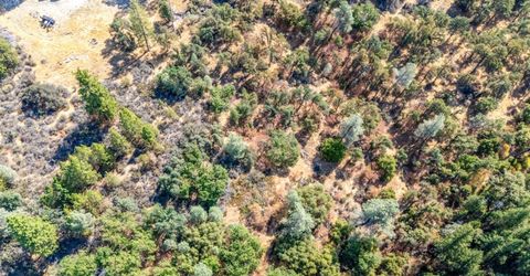 35-acres Amapola Ct, Pollock Pines, CA 95726 Photo