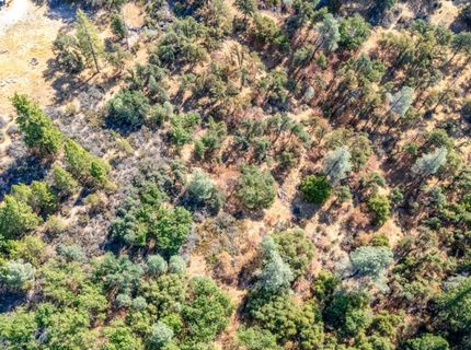 35-acres Amapola Ct, Pollock Pines, CA 95726 Photo