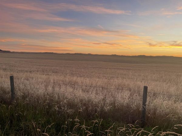 35251 Crescent N Rd, Reardan, WA 99029