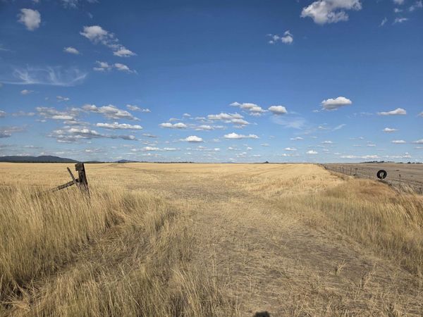 35251 Crescent N Rd, Reardan, WA 99029