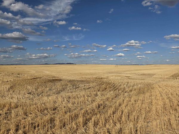 35251 Crescent N Rd, Reardan, WA 99029