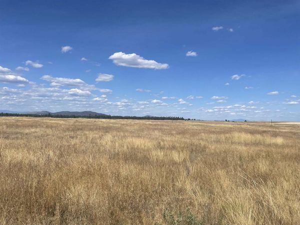 35251 Crescent N Rd, Reardan, WA 99029