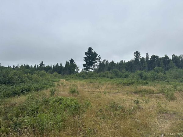 Off S Arfelin Lake Road, Michigamme Twp, MI 49861