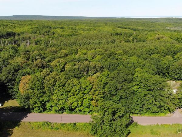 TBD10 S Superior Road, Stanton Twp, MI 49905