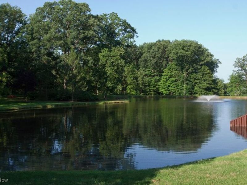 804 Arboretum Circle, Northfield, OH 44067 Photo 19