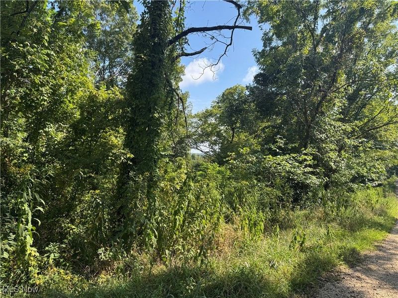 Putnam Drive, Olive, OH 45772 Photo 2