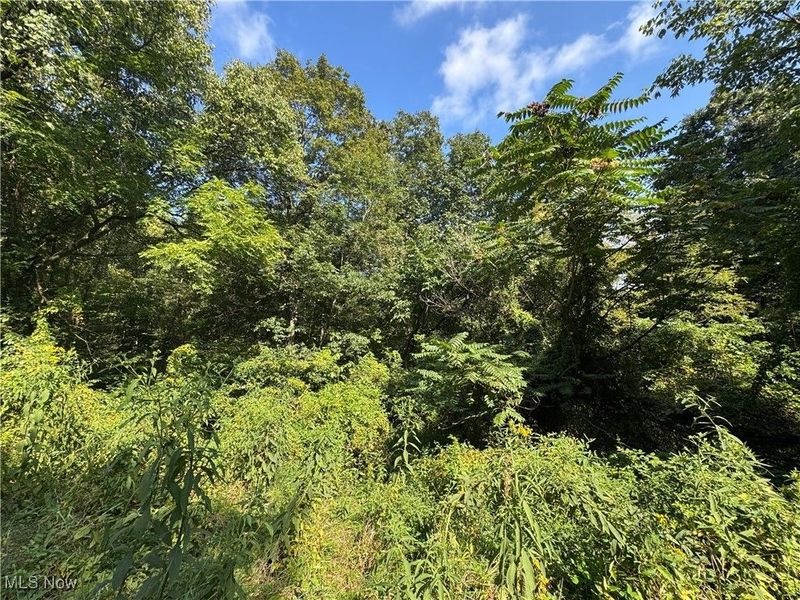 Putnam Drive, Olive, OH 45772 Photo 3