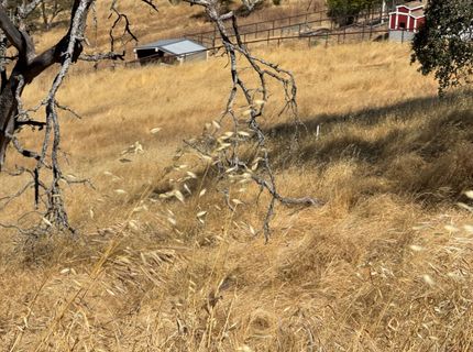 9553 Coronado Dr, La Grange, CA 95329 Photo