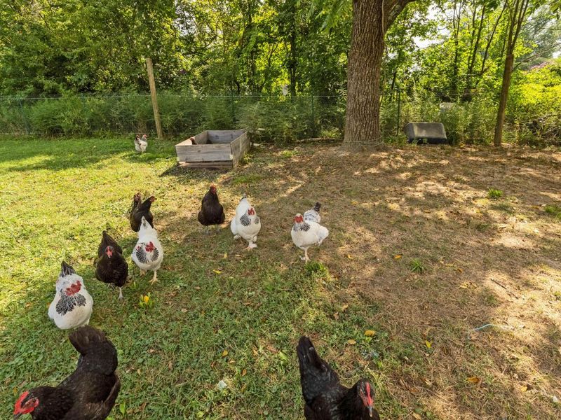 5796 Beecher Road, Granville, OH 43023 Photo 30