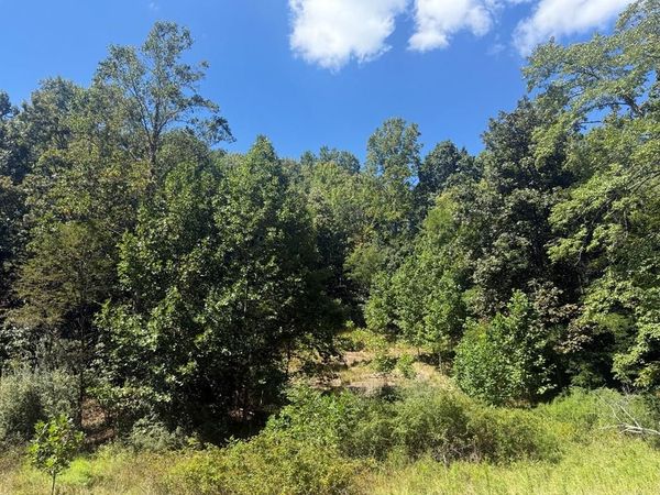 Lot 626 Quail Valley Dr., Princeton, WV 24740
