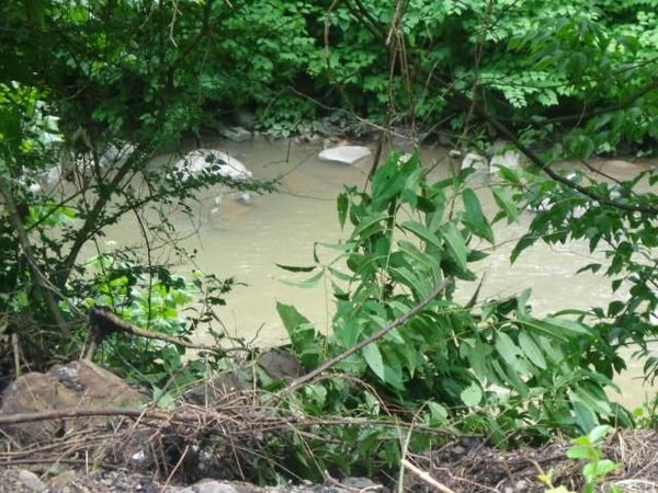 00 Yukon River Rd, War, WV 24892