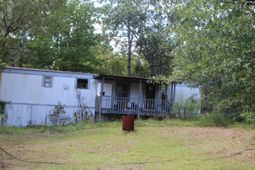 164 Dowd Drive photo 4