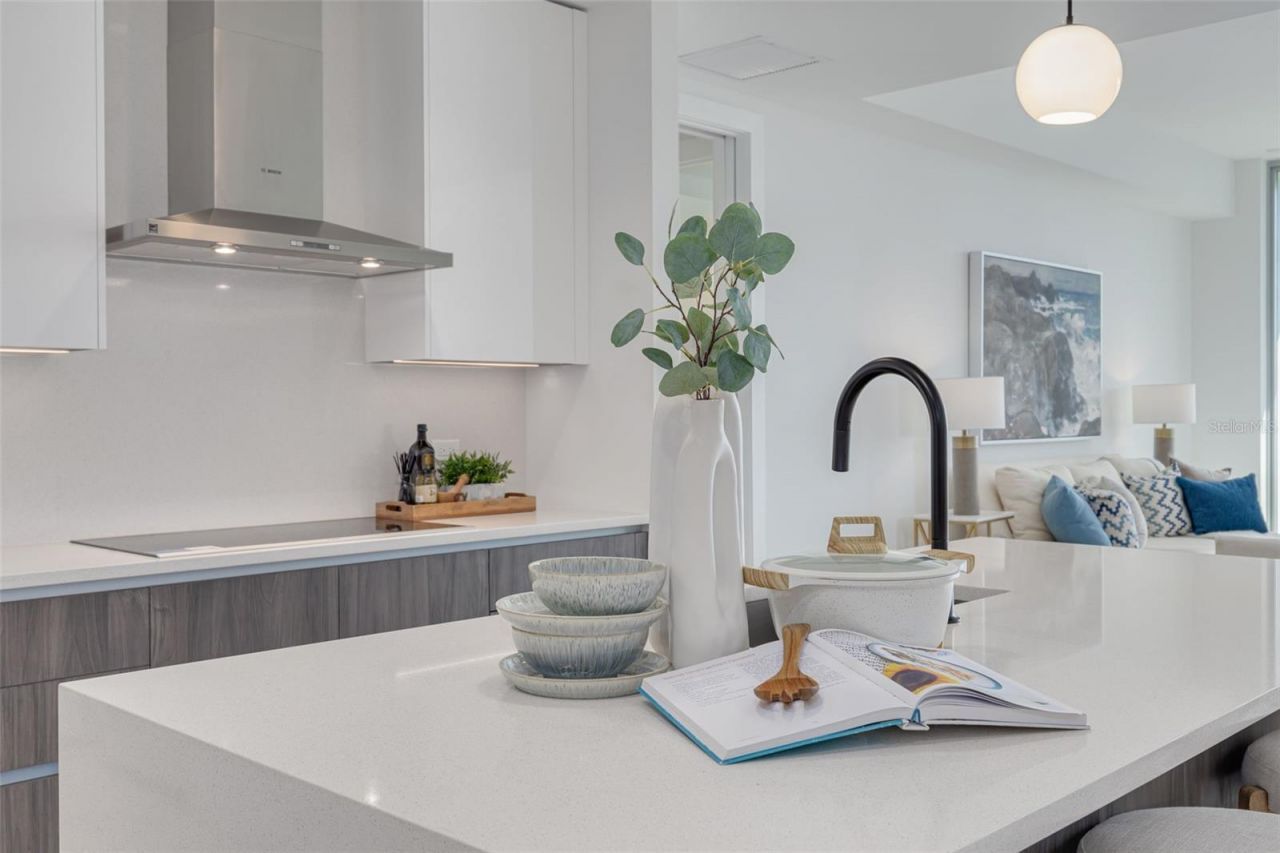 777 3rd Avenue N, Unit 1104, Saint Petersburg, FL 33701 Photo