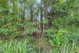 Tbd Creek Bend Rd photo 4