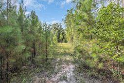 Tbd Creek Bend Rd photo 4