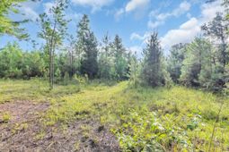 Tbd Creek Bend Rd photo 4