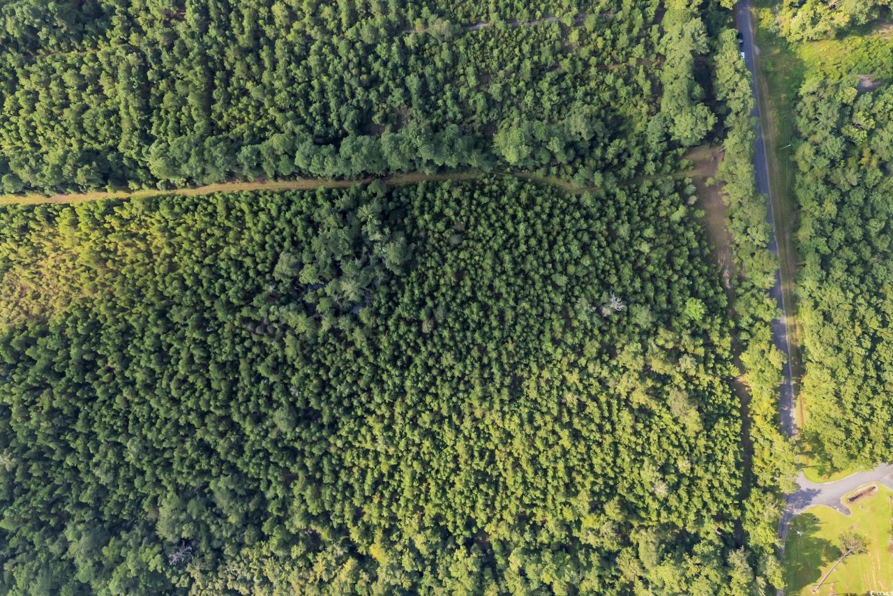 Tbd Creek Bend Rd Photo 7