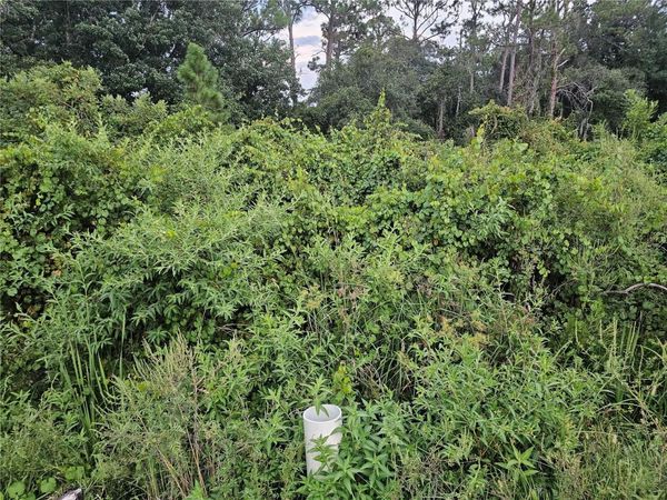 112 DRAYCOTT AVENUE, LAKE PLACID, FL 33852