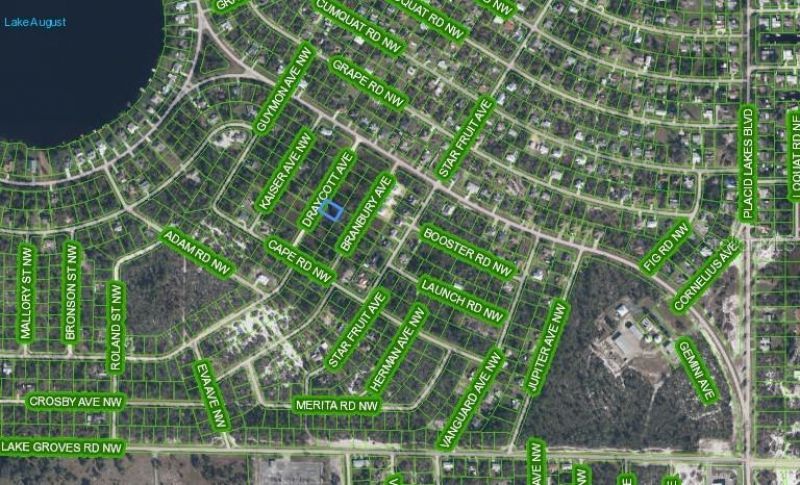 112 Draycott Avenue, Lake Placid, FL 33852 Photo